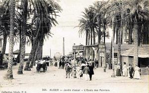 ALGER - JARDIN D'ESSAI - L'OASIS DES PALMIERS